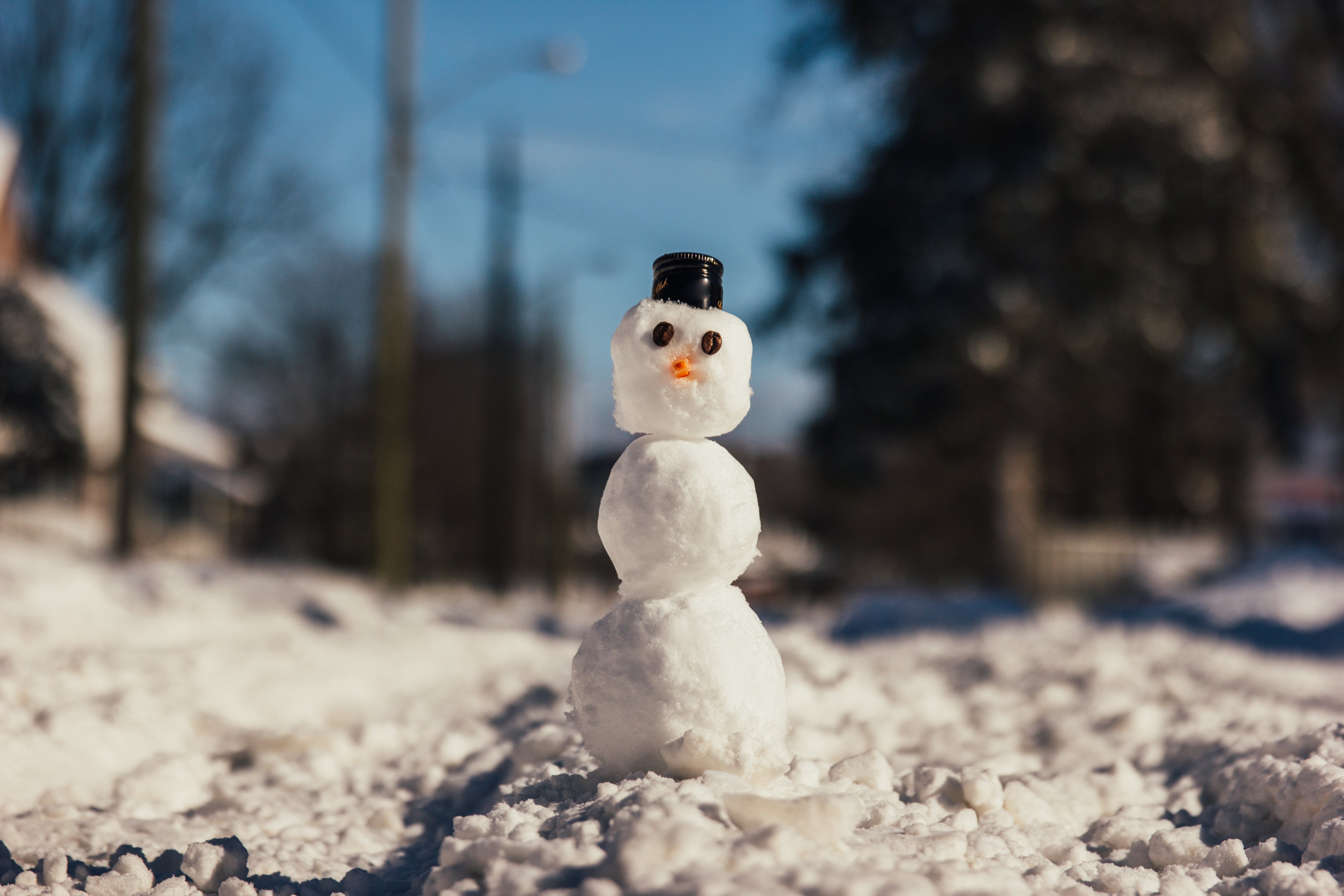 snowman-on-a-winter-afternoon.jpg